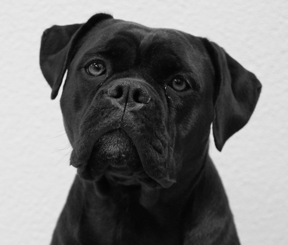 Shila-Porträt